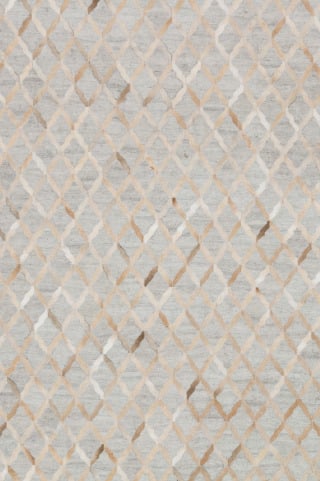 Dorado DB-04 Grey/Sand Area Rug