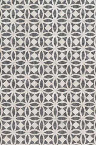 Dorado DB-06 Graphite/Ivory Area Rug
