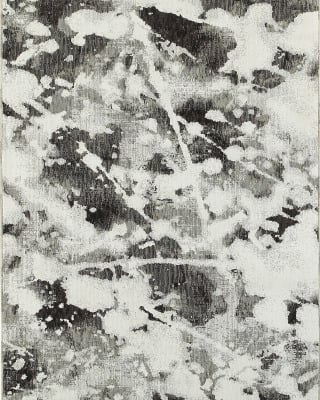 Evolution 8035b Charcoal/White Area Rug