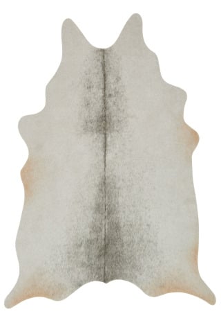 Grand Canyon GC-15 Silver/Grey Area Rug