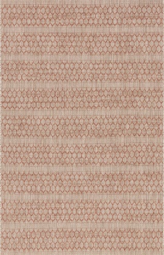 Isle IE-01 Beige/Rust Area Rug