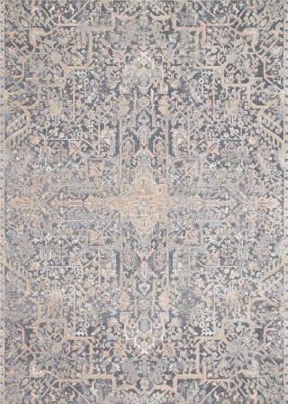 Lucia LUC-02 Charcoal/Multi Area Rug