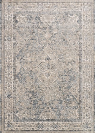 Teagan TEA-04 Sky/Natural Area Rug