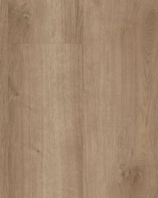COREtec Copano Oak - Luxury Vinyl | Carpet Exchange