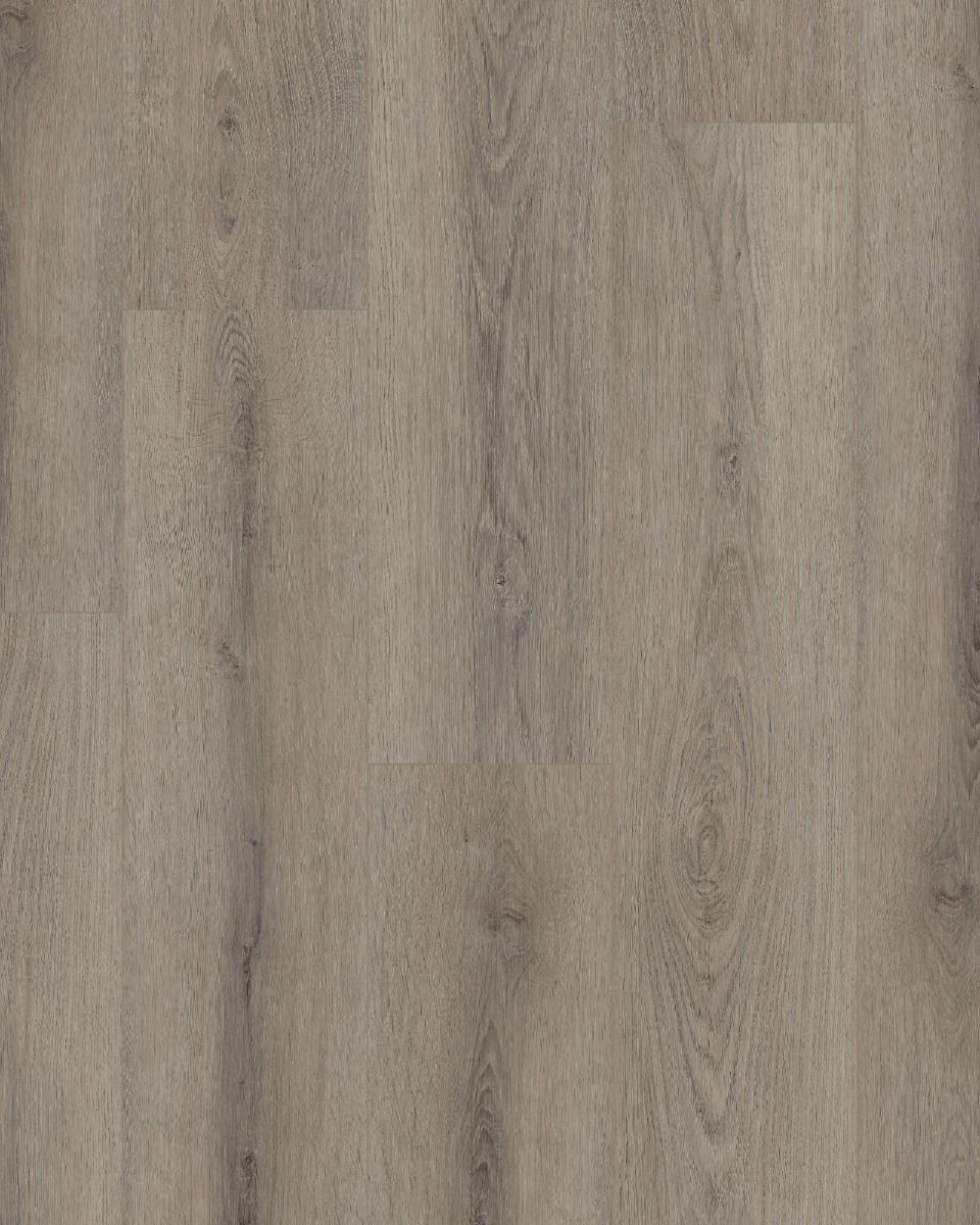 Shaw Paladin Plus Ashen Brown - LVT | Carpet Exchange