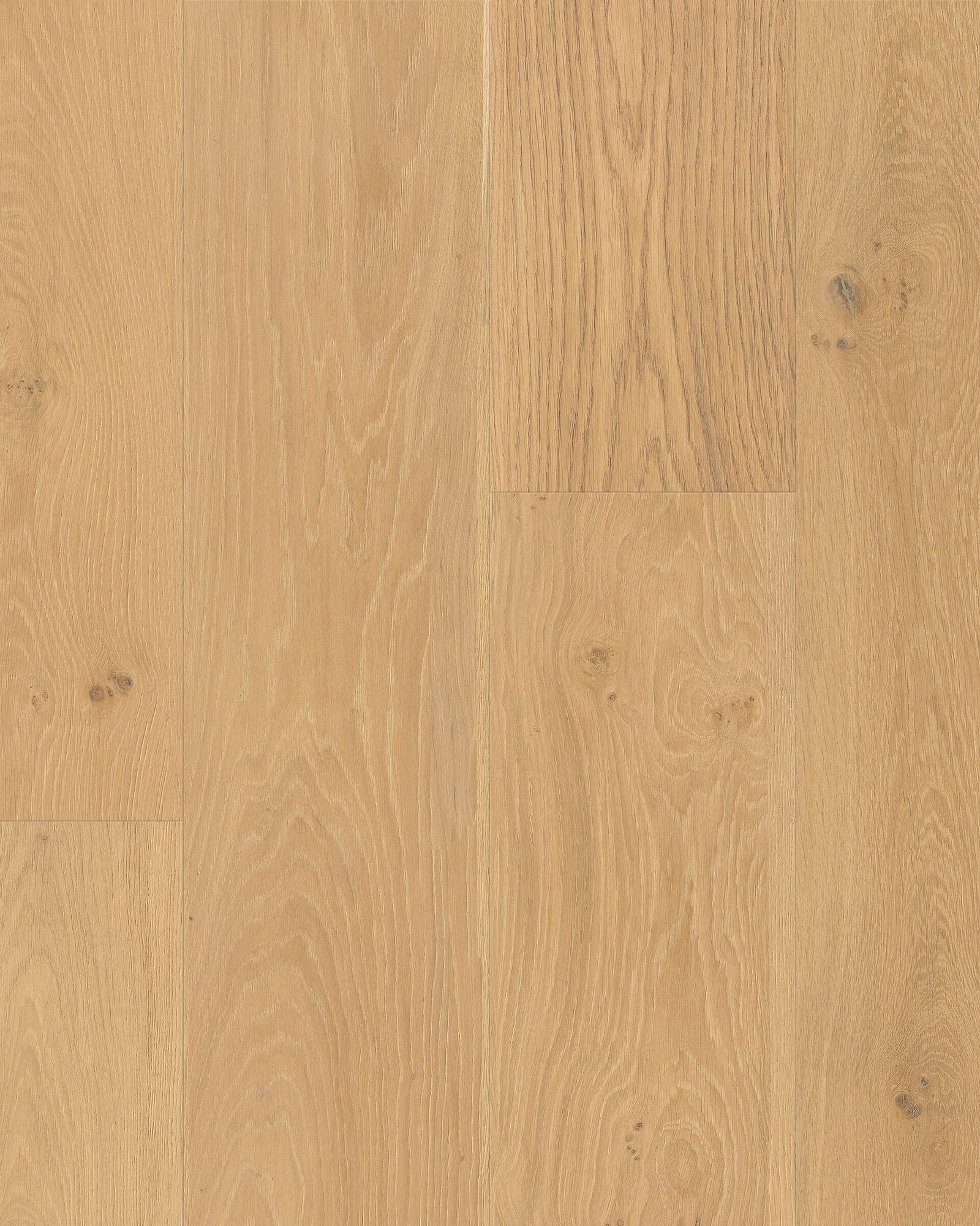 Cali Pacifica Deep Sand Sea - Laminate | Carpet Exchange