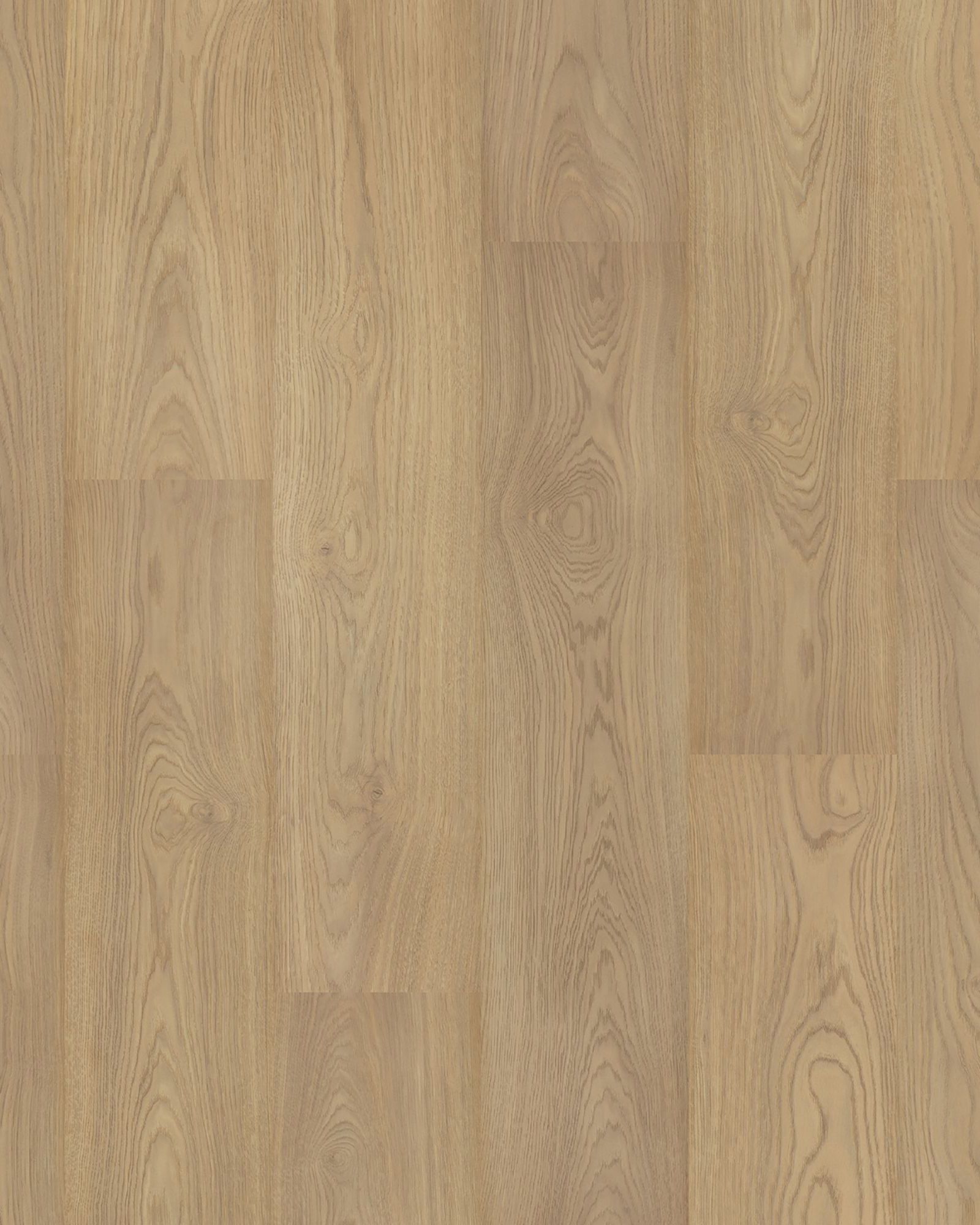 Eden Springs Stallion Hickory 8