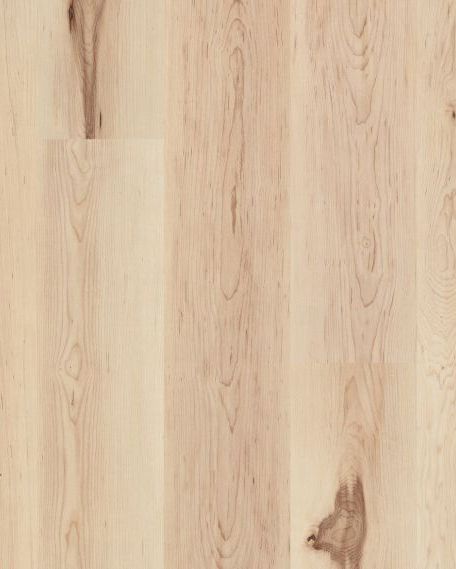 COREtec Pro Plus Roswell Hickory | Carpet Exchange
