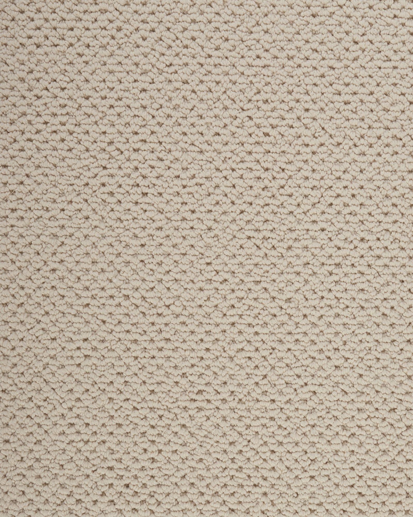 Kenetic Detail Spiced Tea SmartStrand 55oz Carpet