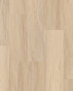 Coretec Aurora Oak - Luxury Vinyl | Carpet Exchange