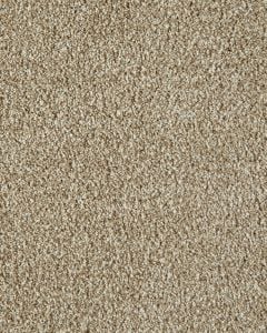Cozy Companion I Textured 50oz Carpet