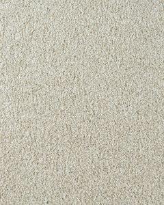 Cozy Companion II Textured 60oz Carpet