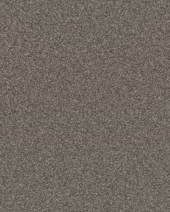 Affirmation I Textured Pet Friendly 43oz Carpet