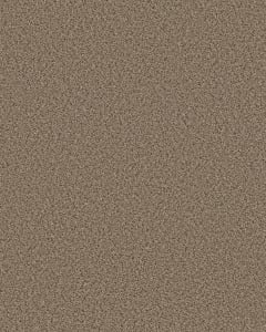 Abilene I Textured 100% Nylon 47oz Carpet