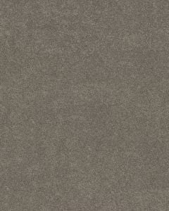 Vivid Touch I Textured Pet Friendly 49oz Carpet