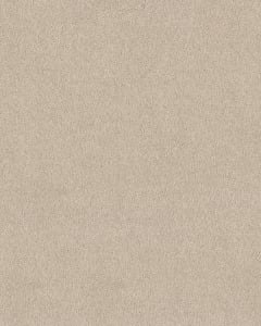 Pawsitive T Pet Friendly Textured 40oz Carpet