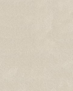Pawsitive S Pet Friendly Textured 40oz Carpet