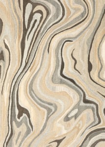 Anastasia 68007 Beige/Charcoal Area Rug
