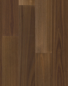 Valencia Walnut Raw Umber European Walnut 7" Hardwood
