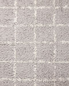 Amira AMI-04 Silver/Ivory Area Rug