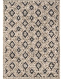 Andes AND-2 Beige Area Rug