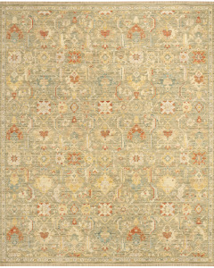 Antique Bloom ANB02 Sage Multicolor Area Rug