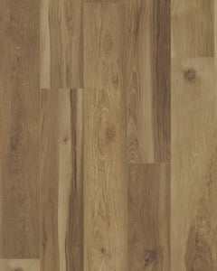 COREtec 9