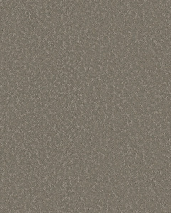 Charming Concept 34oz Patterned Pet Friendly Carpet
