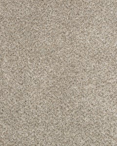 Claws and Effect II 58oz Pet Friendly Carpet