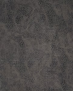 Desire DSR08 Charcoal Silver Area Rug