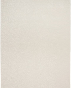 Desire DSR09 Beige Area Rug
