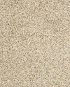 Diffurent Choice I 32oz Pet Friendly Carpet