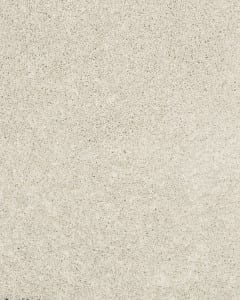 Diffurent Choice II 45oz Pet Friendly Carpet