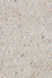 Dorado DB-04 Grey/Sand Area Rug