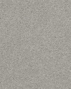 Always Ready II Textured 100% Nylon 39oz Carpet