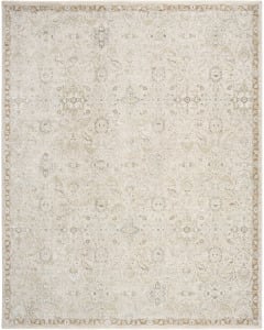 Envy EVV04 Taupe Area Rug