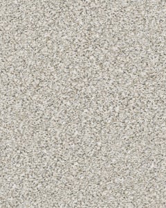 Estes Park Textured Nylon 38oz Carpet