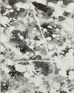 Evolution 8035b Charcoal/White Area Rug