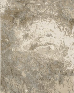 Evolution 960a Beige/Grey Area Rug