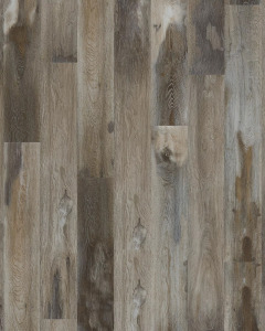 Explorers Cove SolidTech Select Raccoon Luxury Vinyl