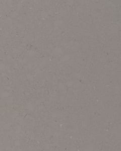Fossil Gray Quartz Countertop