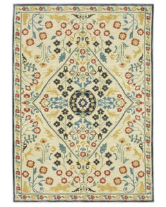 Francesca fr06b Ivory/Multi Area Rug