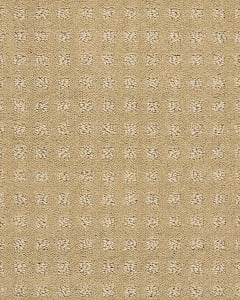 Fuji Nylon Patterned 34oz Carpet