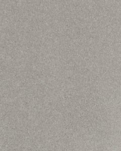 Impressive Shades Textured 50oz Carpet
