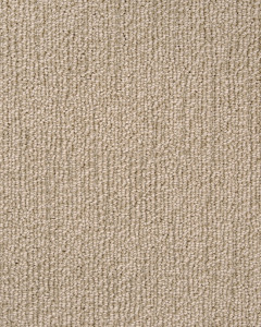 True North Patterned Nylon Blend Carpet