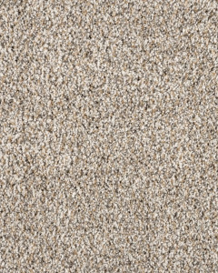 Leon Textured 40oz SmartStrand Carpet