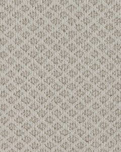Xpressions Patterned Smartstrand 30oz Carpet