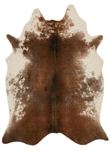 Grand Canyon GC-14 Coffee/Ivory Area Rug