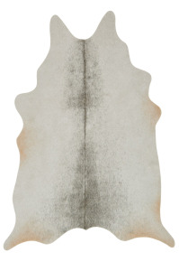 Grand Canyon GC-15 Silver/Grey Area Rug