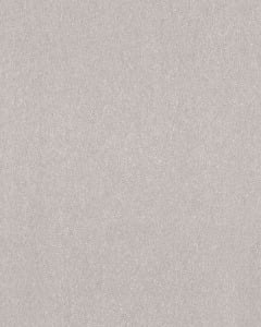 Hard At Play I 39oz Textured Carpet